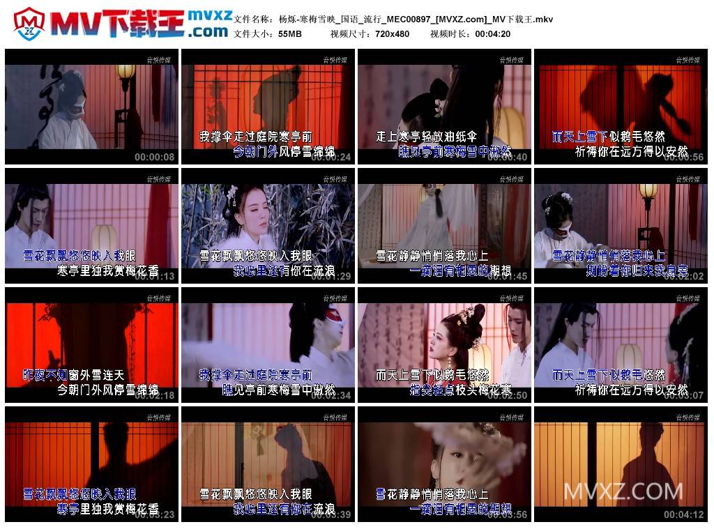 杨烁-寒梅雪映_国语_流行_MEC00897